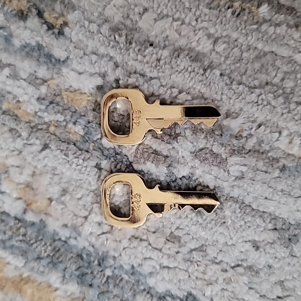 2 keys for padlock 445 Louis Vuitton